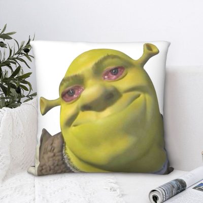 Shrek Crying Meme Square Pillowcase Cushion Cover Creative Zip Home Decorative Polyester Throw Pillow Case Bed Simple 45*45cm 1