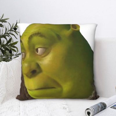 Shrek Meme Square Pillowcase Cushion Cover funny Home Decorative Sofa Nordic 45*45cm 1