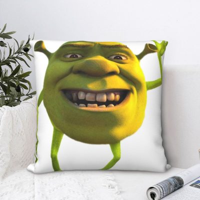Shrek Wazowski Square Pillowcase Cushion Cover Creative Zipper Home Decorative Polyester Pillow Case Bed Nordic 45*45cm 1