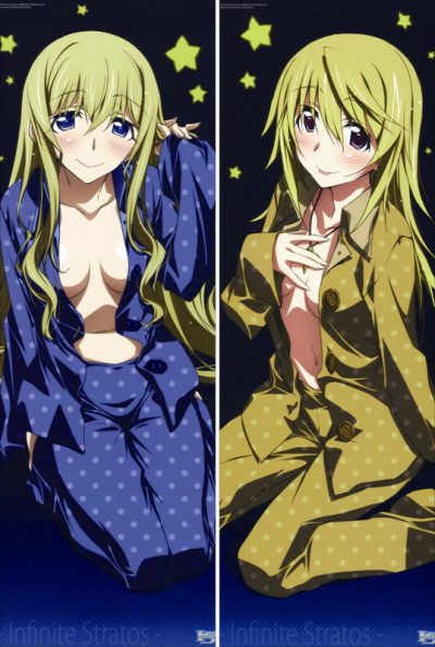 1627121093 IS047 Infinite Stratos Charlotte Dunois 2