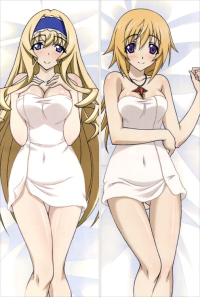 1627121116 IS057 Infinite Stratos Charlotte Dunois Cecilia Alcott 2